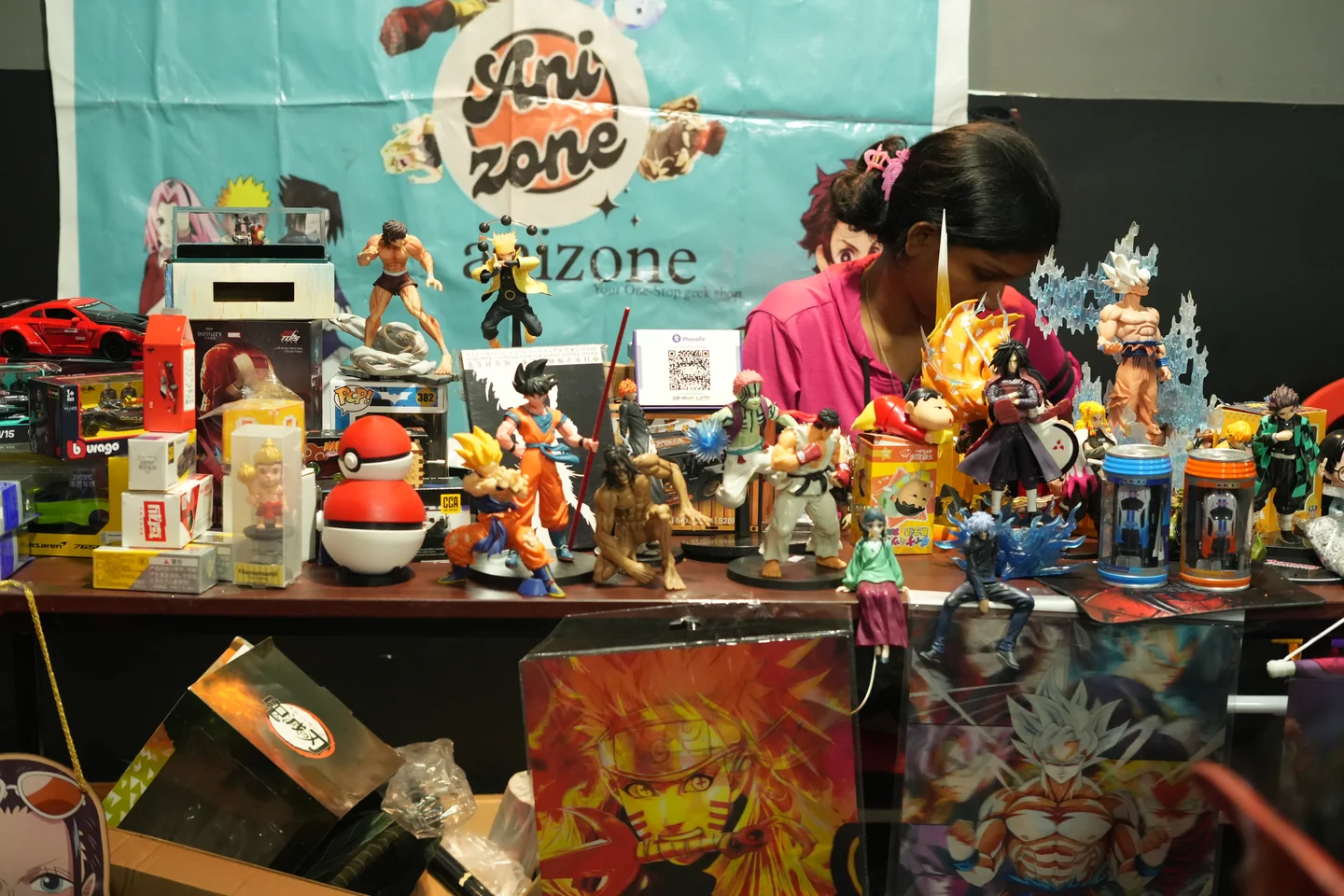 Collectors & Figure Showcase